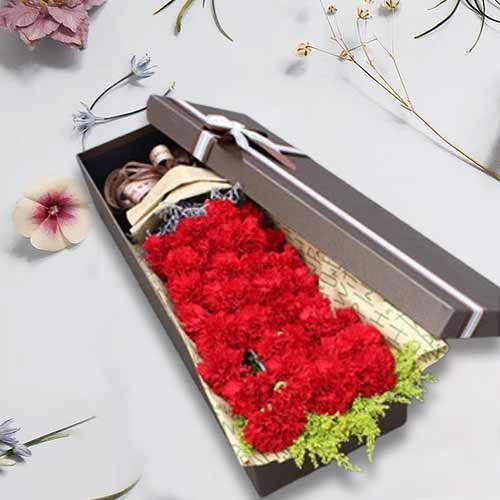 Send Red Carnation For Valentine’s Day Delivery